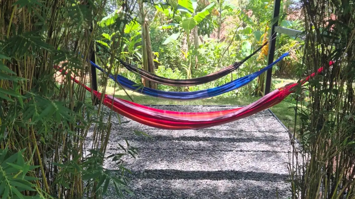 Colorful hammocks in a lush garden